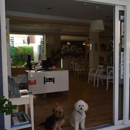 Gæstehus Mar Del Plata (adults Only)